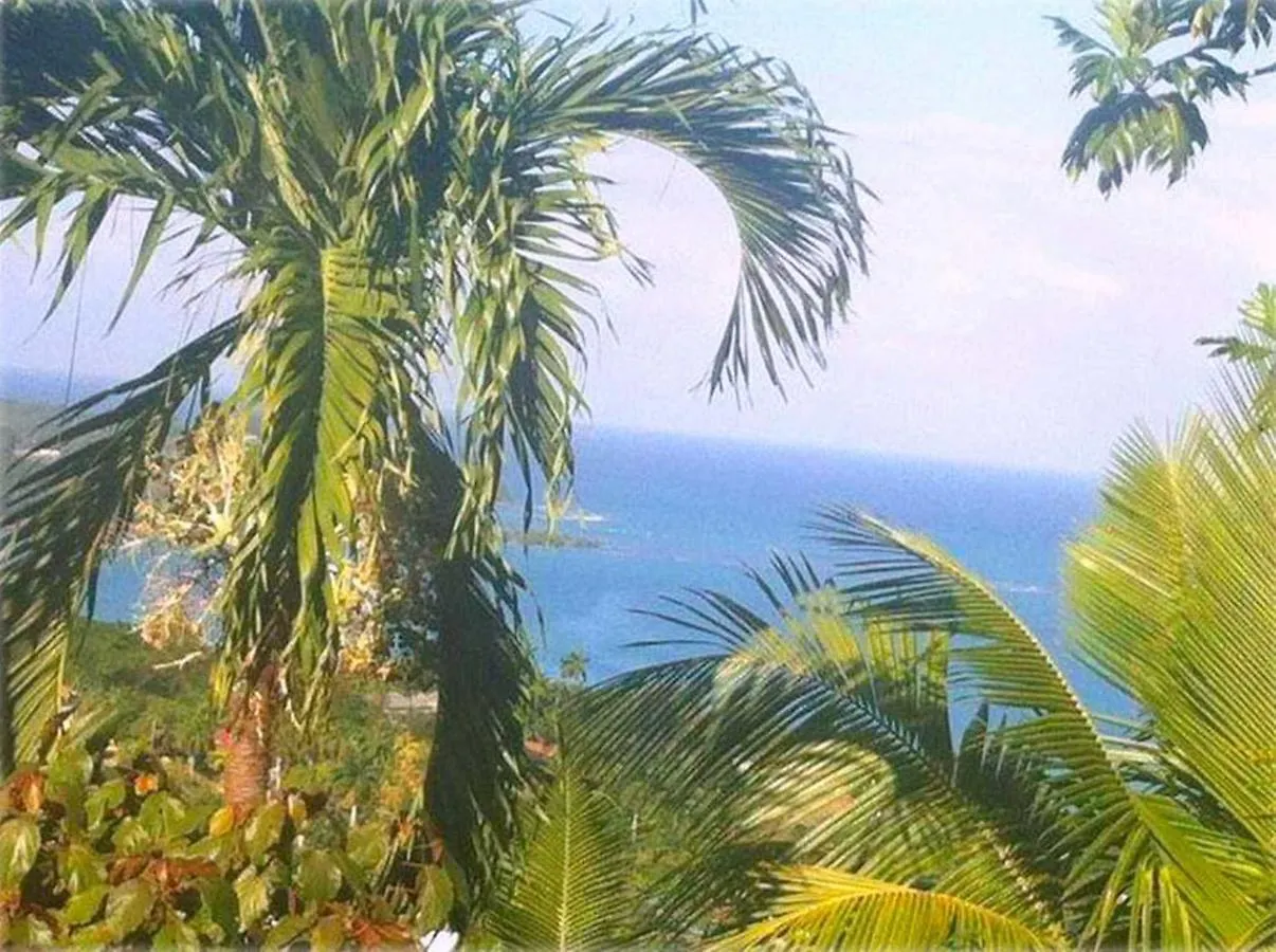 My-Places Montego Bay Vacation Home Jamaica